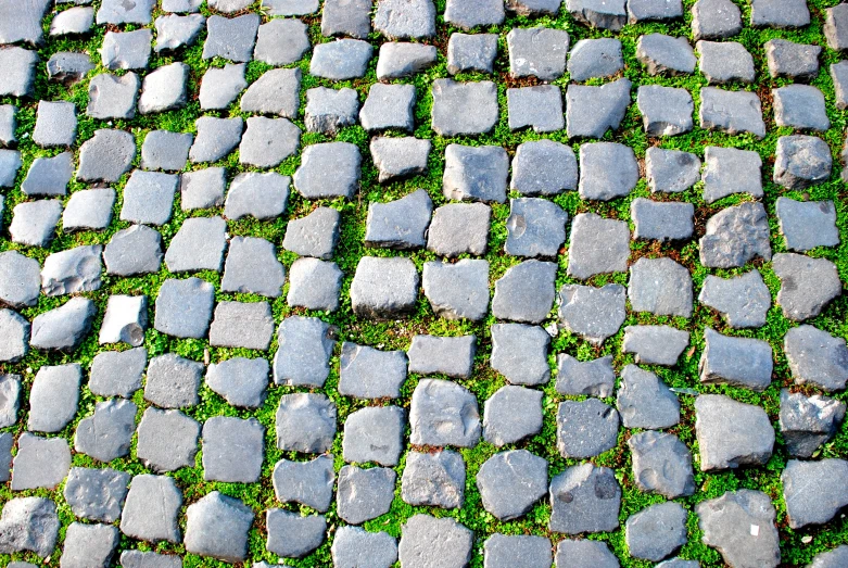 a stone street with a grassy patch of land between it