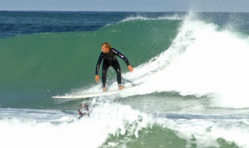 surfer on top of a small wave riding the crest