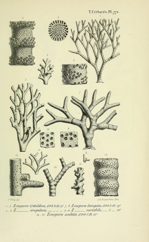 an old book with different types of trees and vases