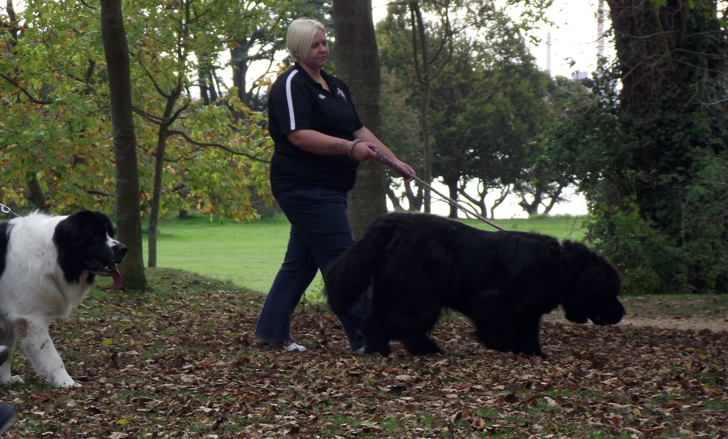 a dog walking behind a woman that is next to trees