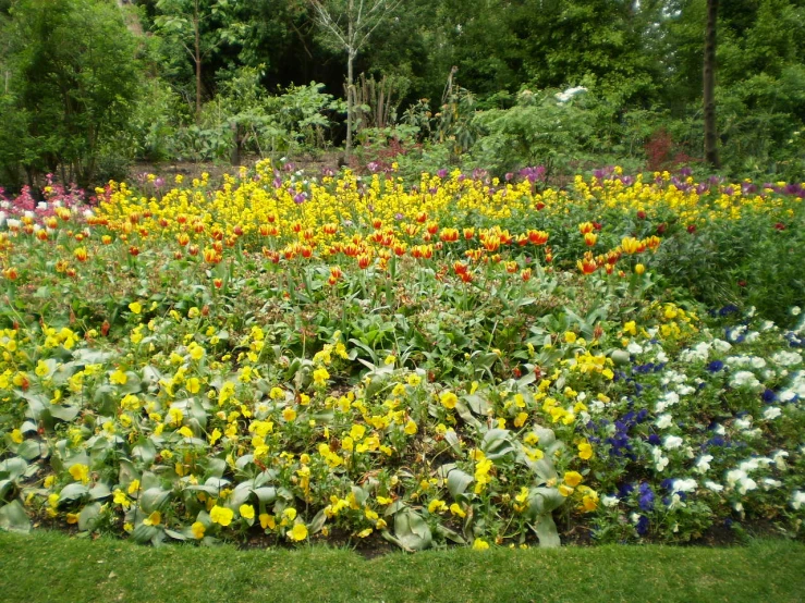 a colorful flowerbed in the middle of a grassy area