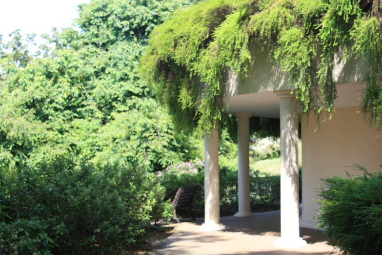 a house covered with lots of green leaves next to trees