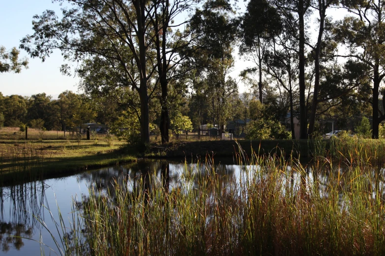 the view of a lake in the distance near several trees