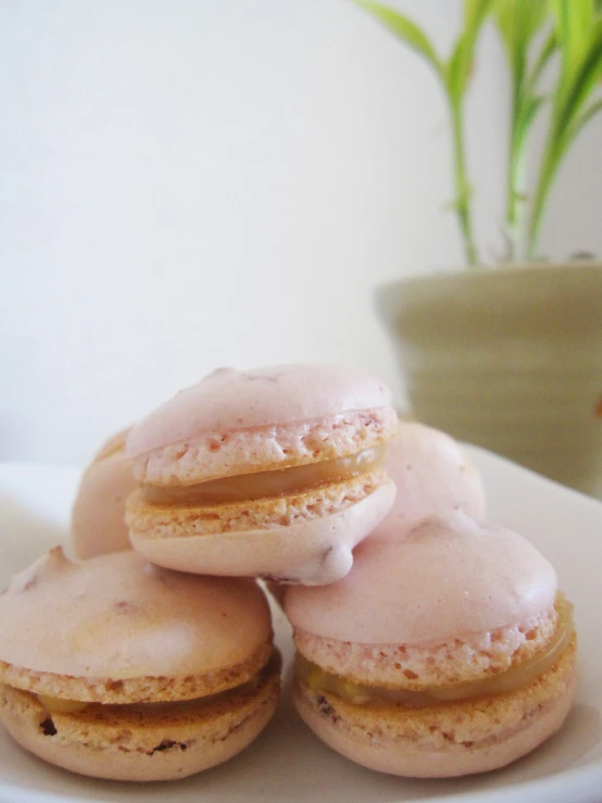 a white plate holding four frosted pink macaroons