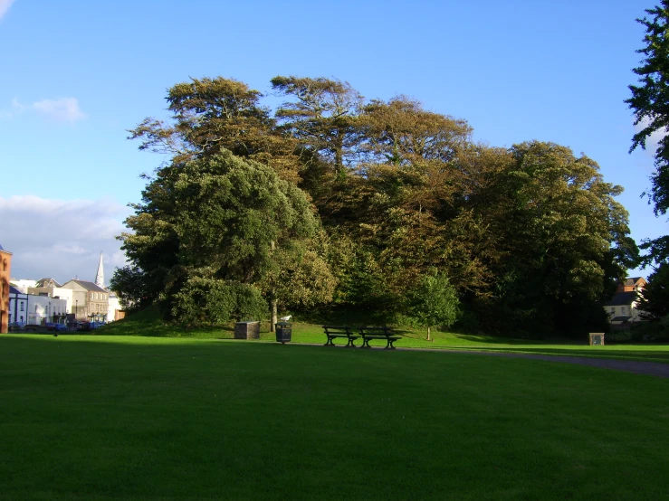 a park with green grass, trees and a blue sky