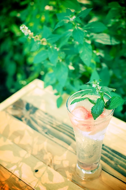 an iced drink with mint sprigs on a wood table