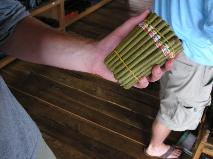 a person holding a large bundle of green bamboo sticks