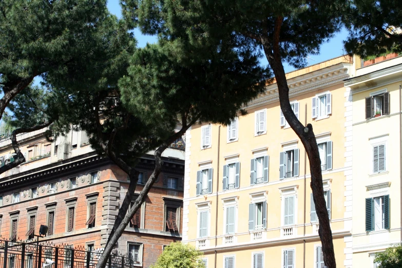 a tree in front of buildings near the road