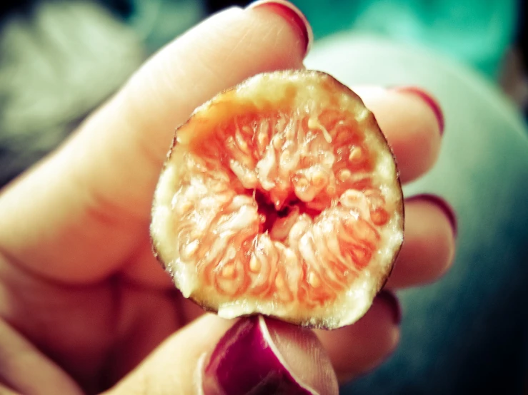 a person holding a g fruit in their left hand