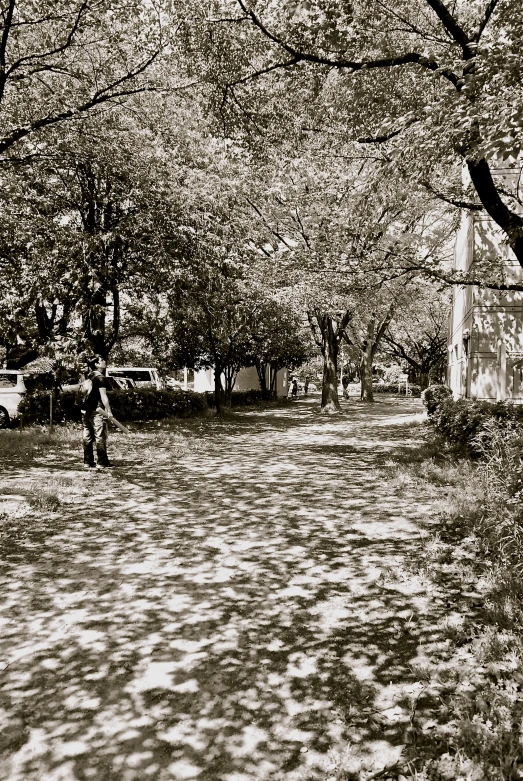 a park with many trees and people sitting and walking