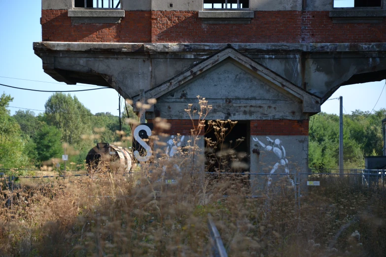 two cows standing in front of a brick building