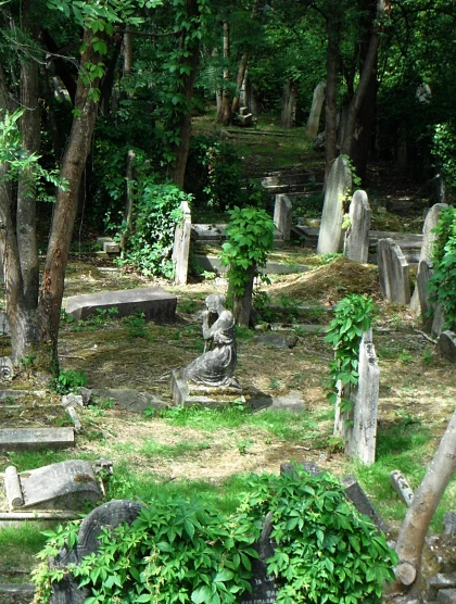 a garden filled with lots of trees next to some tombstones