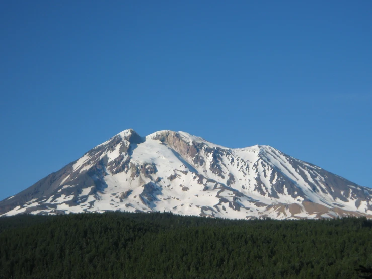 the snow covered mountain has pine trees and shrubs under it