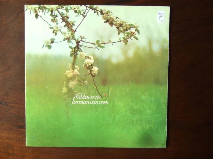 the front of a book on a wooden table