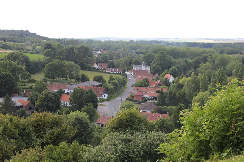 there are a lot of houses in the trees on this street