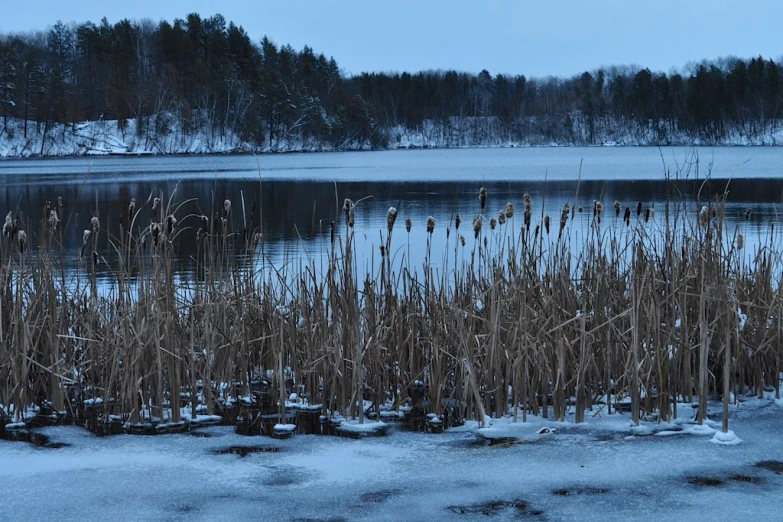 a large body of water surrounded by snow