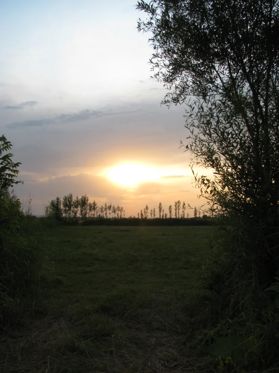 a grassy field with clouds, bushes and the sun peeking out
