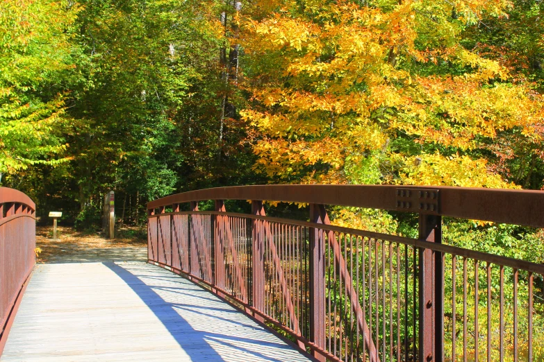 the bridge is very narrow and runs over the woods