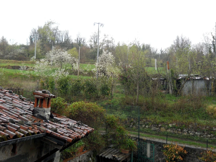 an image of some old buildings and trees