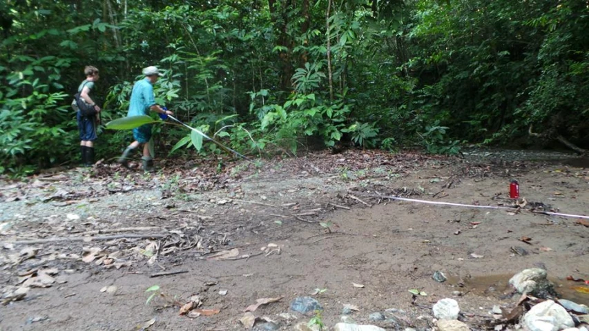 people standing in the forest with trees and rocks