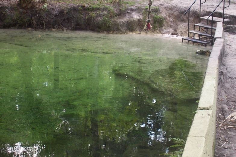 a green pond with some steps and railings and a tree filled field