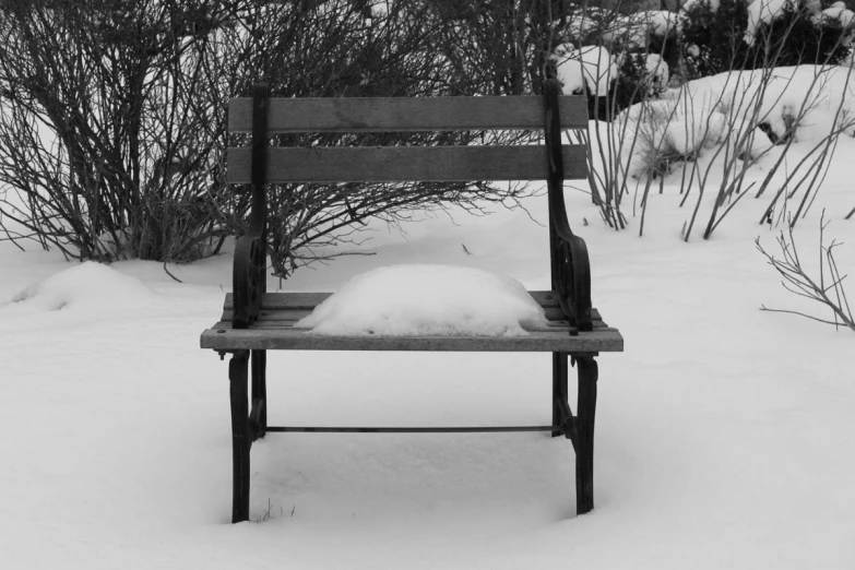 a bench sitting on snow covered ground near a bush