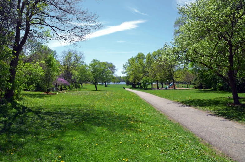 a road is between the grassy areas next to a body of water