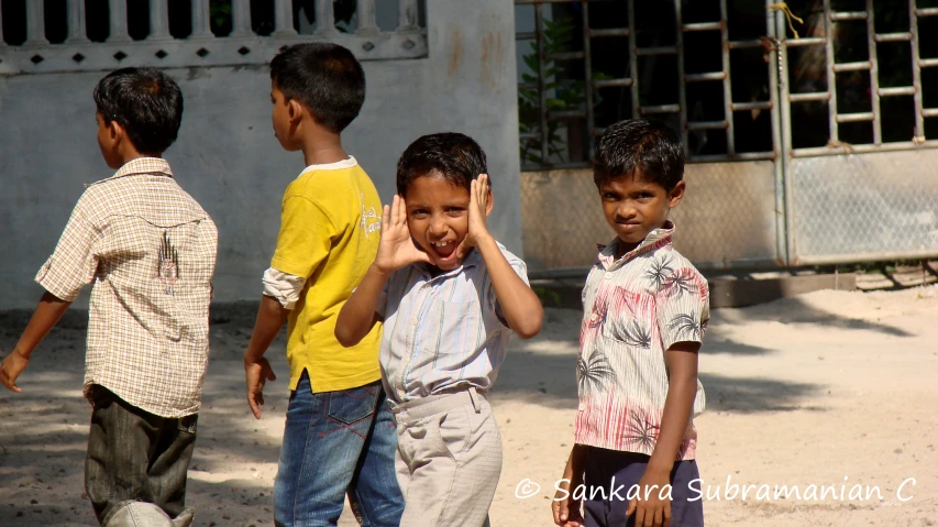 four small boys all are standing together looking up