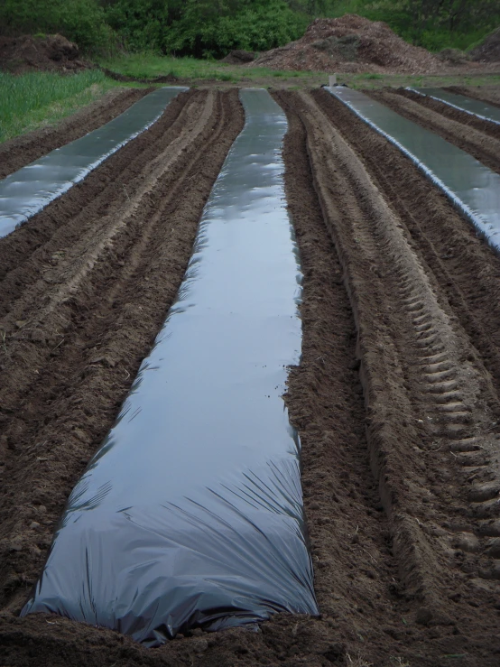 several rows of muddy muddy land next to a field