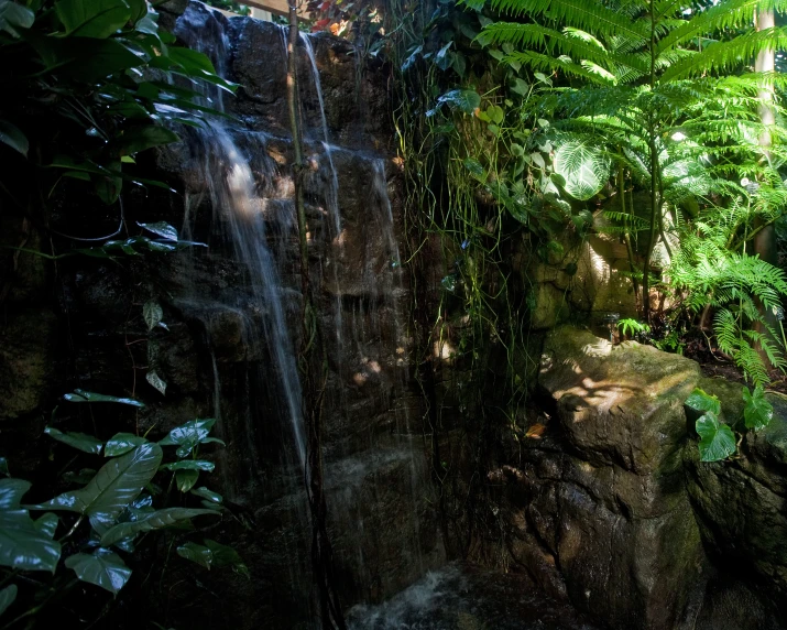 waterfall with bright sunlight coming down from its top