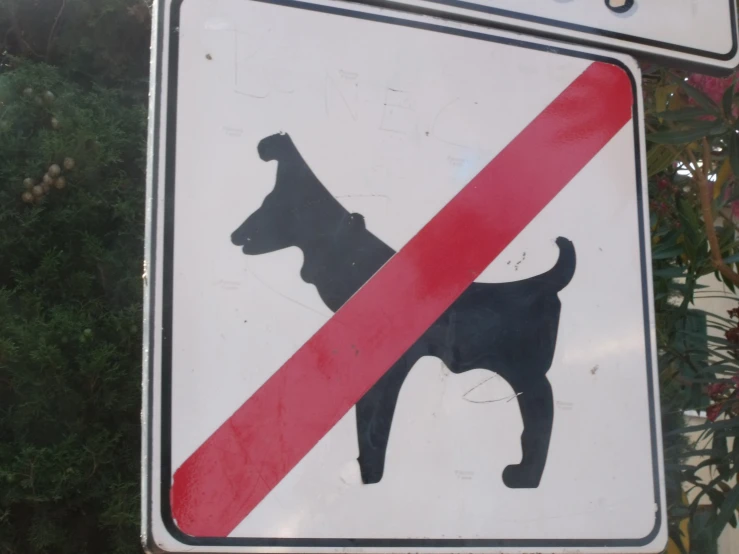 no dogs sign posted on a post on the side of the road