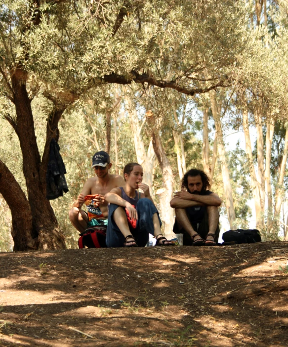 people sitting around under a large tree in the woods