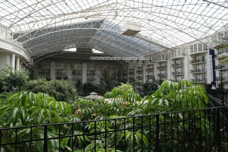 the inside of a building with plants growing inside it
