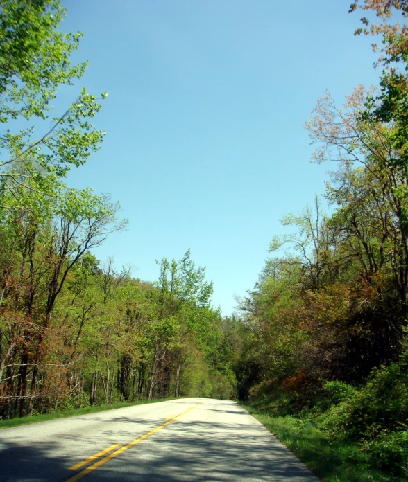 a road through a forested area with no cars driving in the distance