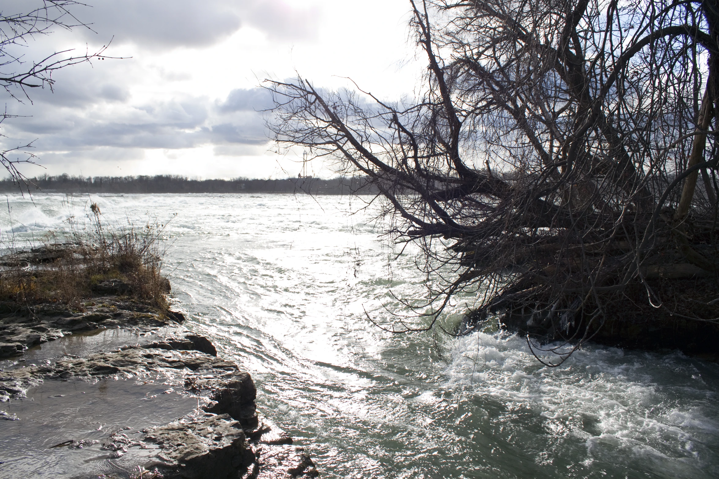 the nches and water are frozen in cold weather