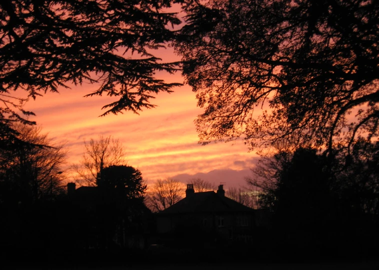 a very colorful sky behind a few trees