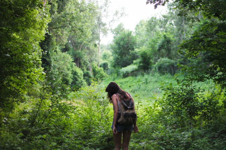 a man with a large backpack walking through the woods