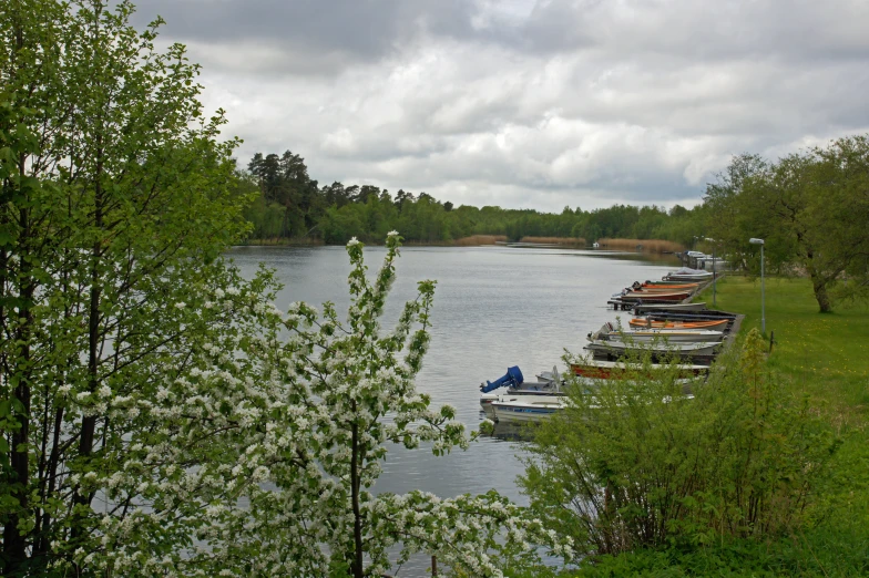 a bunch of boats that are in the water