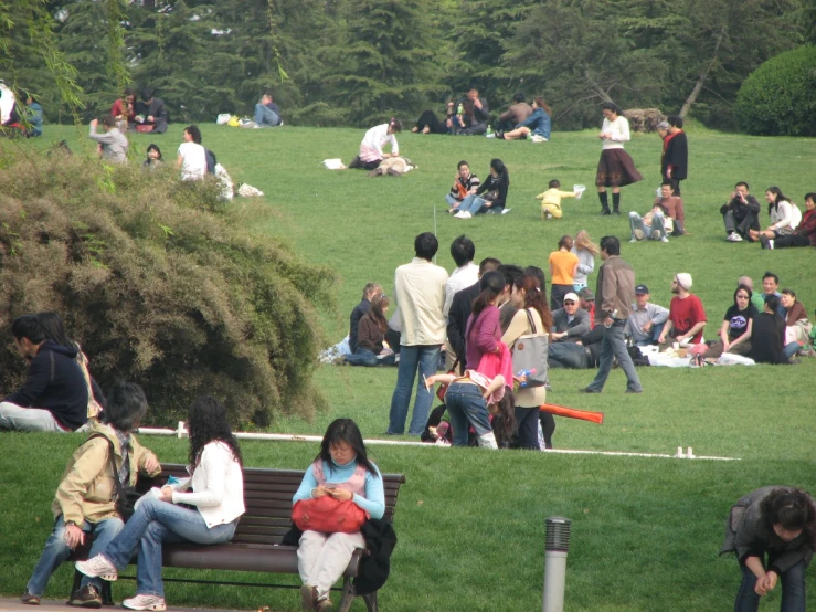 group of people sitting on benches in park, with grassy area behind them