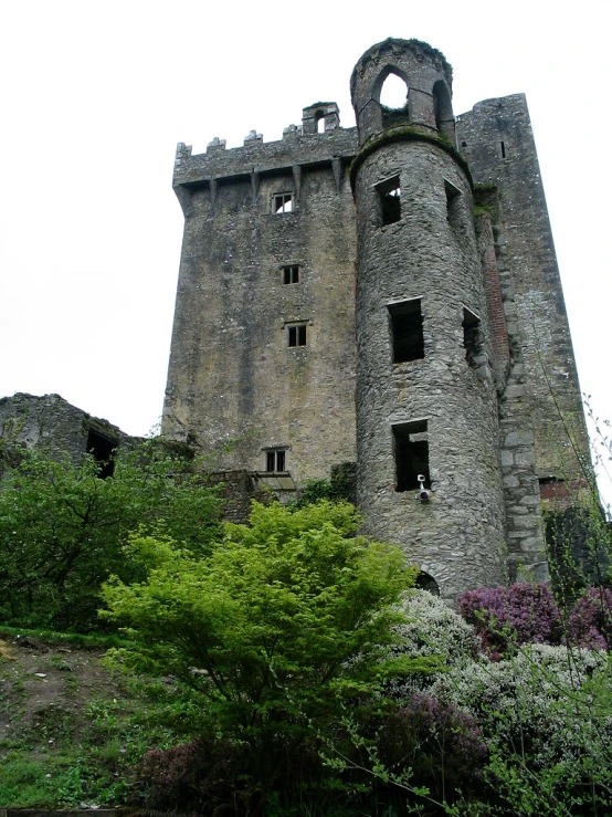 the ruins of an old castle are overgrown