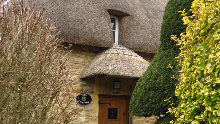 a door with some round items and a tree with some leaves