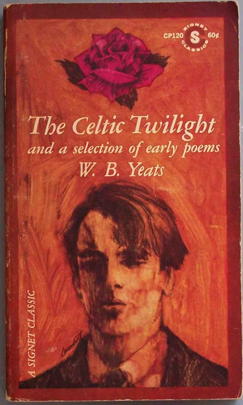 a book about a young man's life and the title, the celitic twilight