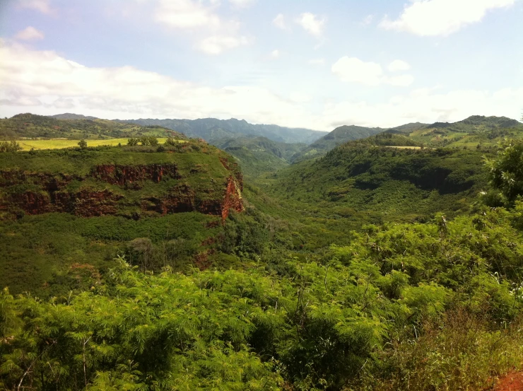 a view of a lush green hill covered with bushes