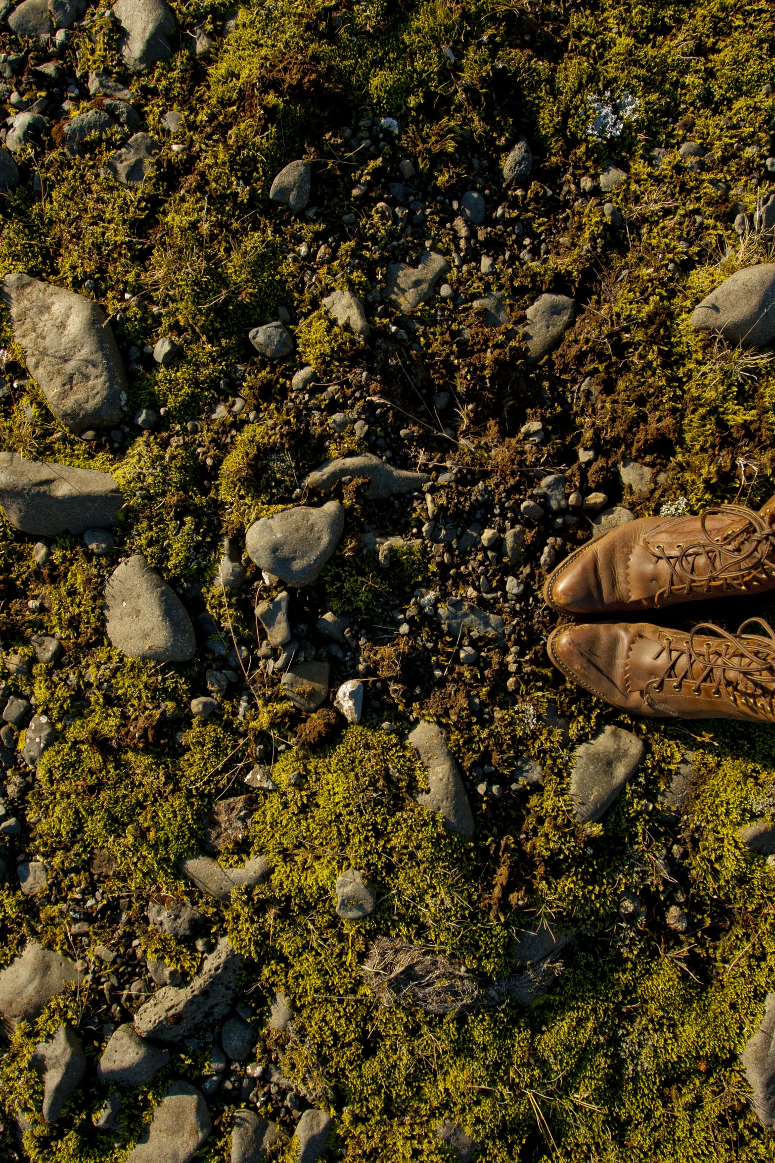 a pair of shoes that are in the dirt