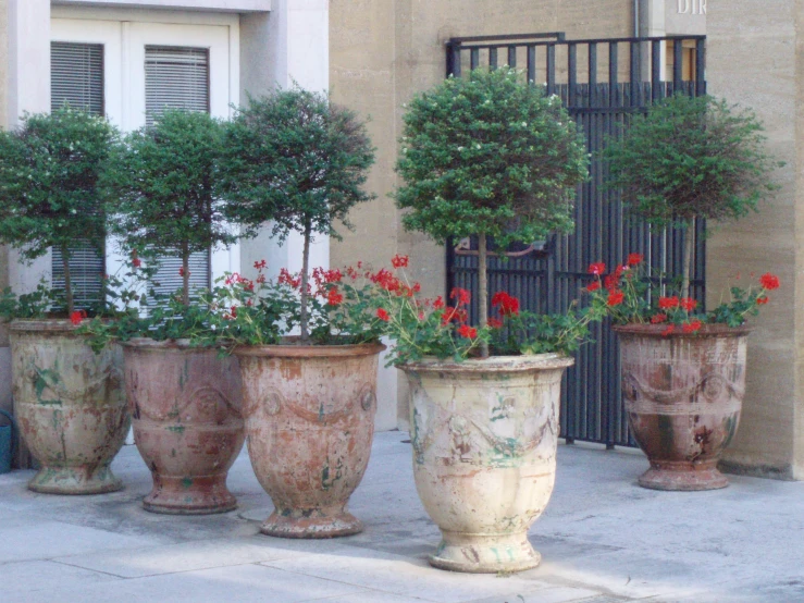 a collection of flower pots sitting in front of a gate