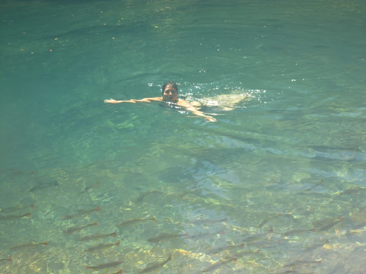 a man swimming in a body of water near many fish