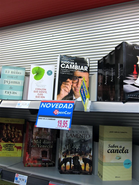 books are in a shelf by the window