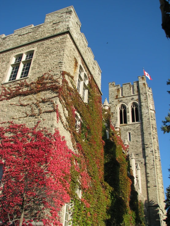 a tall brick building has many trees and ivy