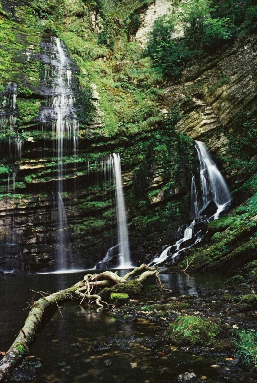 several waterfalls and water in a lush forest