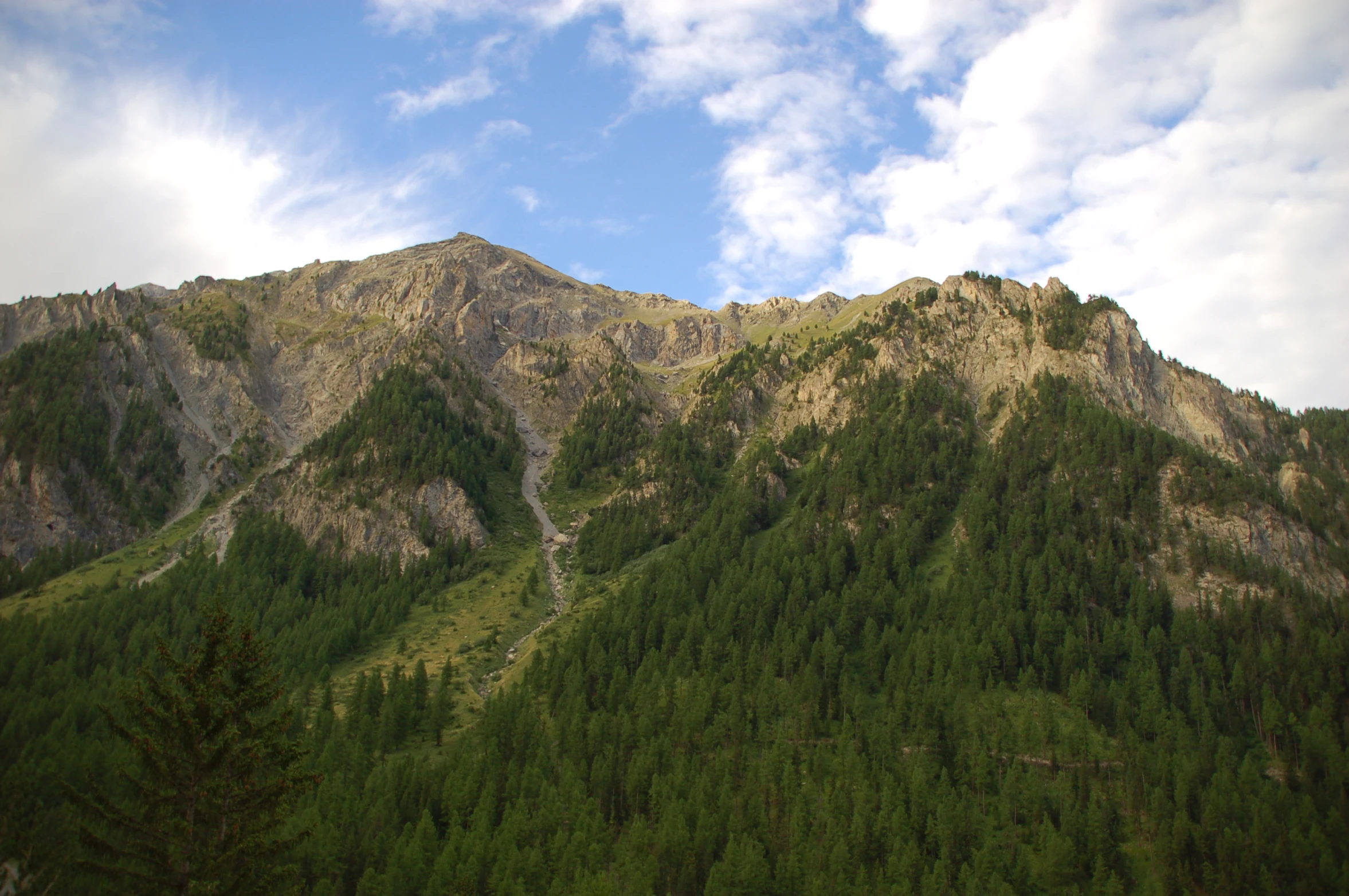 a mountain covered with lots of tall green trees